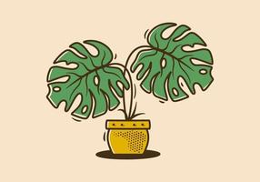 Grün Monstera Deliciosa Pflanze mit zwei groß Blatt Illustration vektor