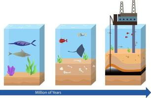 olja och gas bildning vektor illustration, olja och gas bildning steg förbi steg diagram, olja och gas industri i de hav, bildning av petroleum