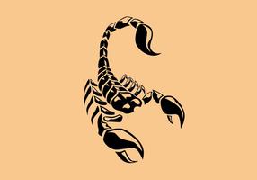 Skorpion Tattoo Vektor