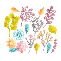 Vektor Hand gezeichnete florale Elemente