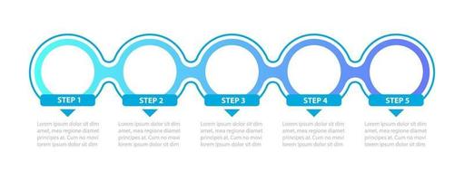 blå färgade cirklar steg vektor infographic mall