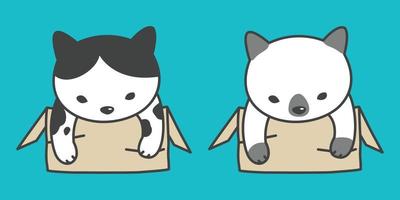 katt vektor kattunge ras ikon i de låda karaktär tecknad serie illustration klotter
