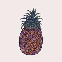handritad skiss stil illustrationer av mogna ananas. exotisk tropisk frukt vektorritningar isolerad på vit bakgrund vektor