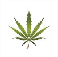 realistische Marihuana Blatt Design Illustration vektor