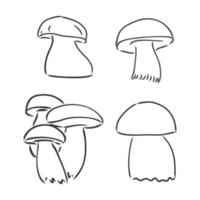 Pilze Champignon. Vektor Hand gezeichnetes Gemüse lokalisiert auf weißem Hintergrund. Pilzvektorskizze auf einem weißen Hintergrund