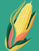 Reife Maiskolben Gemüsenahrung vektor