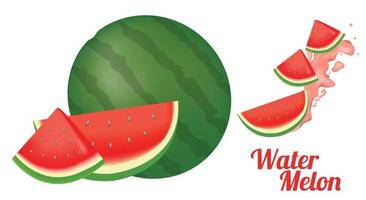 Wassermelone ganz und in Scheiben geschnitten vektor