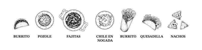 uppsättning av mexikansk kök maträtter med namn. hand dragen vektor illustration i skiss stil. nationell etnisk mat