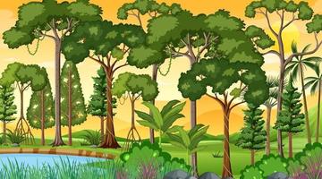 Waldlandschaftsszene zur Sonnenuntergangszeit mit vielen verschiedenen Bäumen vektor