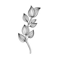 Vektor Illustration isoliert auf Weiß Hintergrund. schwarz Linien Blumen Symbole Satz. Vektor isoliert Blumen- Elemente.