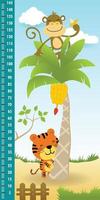 Höhe Messung Mauer von komisch Affe auf Banane Baum mit Tiger, Vektor Karikatur Illustration