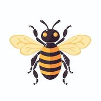 Tier Gliederfüßer Insekt Biene vektor