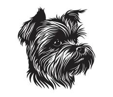 affenpinscher Gesicht, Silhouetten Hund Gesicht, schwarz und Weiß affenpinscher Vektor