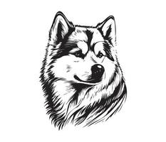 alaskan malamute ansikte, silhuetter hund ansikte, svart och vit alaskan malamute vektor