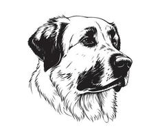 anatolisch Schäfer Gesicht, Silhouetten Hund Gesicht, schwarz und Weiß anatolisch Schäfer Vektor
