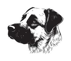 anatolisch Schäfer Gesicht, Silhouetten Hund Gesicht, schwarz und Weiß anatolisch Schäfer Vektor
