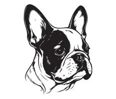 franska bulldogg ansikte, silhuett hund ansikte, svart och vit franska bulldogg vektor