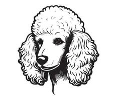 Pudel Gesicht, Silhouette Hund Gesicht, schwarz und Weiß Pudel Vektor
