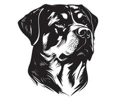 Rottweiler Gesicht, Silhouette Hund Gesicht, schwarz und Weiß Rottweiler Vektor