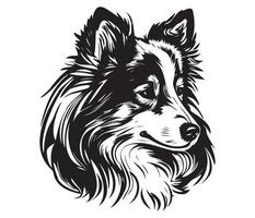 Shetland Schäferhund Gesicht, Silhouette Hund Gesicht, schwarz und Weiß Shetland Schäferhund Vektor