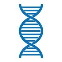 medicinsk vetenskaplig tvinnad helix struktur abstrakt modell av DNA-gener vektor