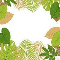 ein Rahmen von tropisch Blätter mit ein Weiß Hintergrund vektor