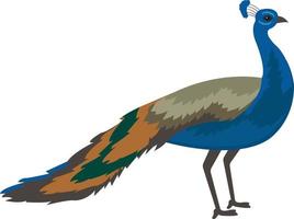 Pfau Vektor Illustration auf ein hintergrund.premium Qualität symbole.vektor Symbole zum Konzept und Grafik Design.