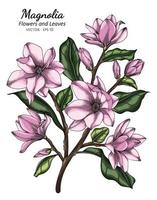 rosa magnolia blomma och blad ritning illustration med konturteckningar på vita bakgrunder. vektor