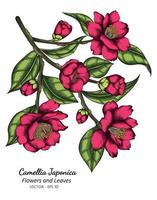 rosa Kamelienjaponikablumen- und Blattzeichnungsillustration mit Strichzeichnungen auf weißem Hintergrund. vektor