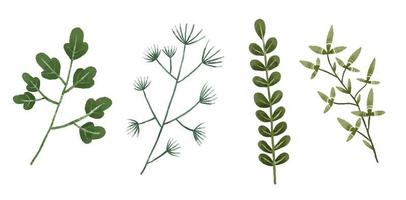 hand målad botanisk illustration, löv och bramches. design och skriva ut vektor
