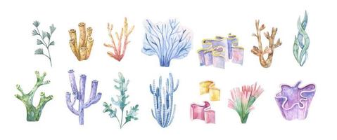 Seetang Satz. unter Wasser Pflanzen. Aquarell Illustration. Ozean. see.algen Algen, Koralle Riff Design Element. Aquarium Pflanzen Silhouetten vektor