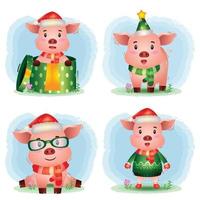 süße Schwein Weihnachtsfiguren Sammlung mit Hut, Jacke, Schal und Geschenkbox vektor