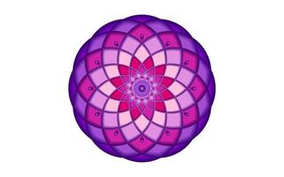 lila Samen von Leben Symbol heilig Geometrie. Logo Symbol geometrisch Mystiker Mandala von Alchimie esoterisch Blume von Leben. Vektor göttlich Lotus meditativ Amulett isoliert auf Weiß Hintergrund
