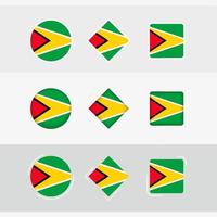 Guyana Flagge Symbole Satz, Vektor Flagge von Guyana.