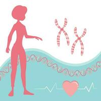 genetisch Risiko zum Herz Krankheit Vektor Illustration Hintergrund Grafik