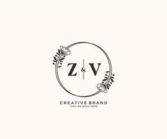 Initiale zv Briefe Hand gezeichnet feminin und Blumen- botanisch Logo geeignet zum Spa Salon Haut Haar Schönheit Boutique und kosmetisch Unternehmen. vektor