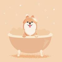 pommerschen Hund. heiter pommerschen badet im das Badezimmer. Hund Illustration zum Pflege Salon. vektor