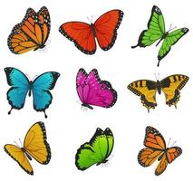 stor samling av färgrik fjärilar. vektor illustration