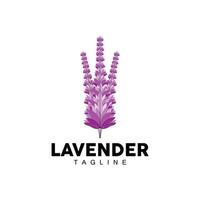 lavendel- logotyp, hand dragen bröllop växt design, lantbruk vektor, symbol illustration mall ikon vektor