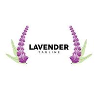 lavendel- logotyp, hand dragen bröllop växt design, lantbruk vektor, symbol illustration mall ikon vektor