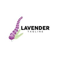 Lavendel Logo, Hand gezeichnet Hochzeit Pflanze Design, Landwirtschaft Vektor, Symbol Illustration Vorlage Symbol vektor