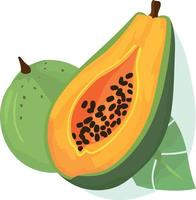 papaya frukt skära i halv vektor