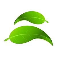 gedeihen Blätter. Grün Blätter von Bäume und Pflanzen. Element zum Logo Öko und bio. vektor
