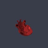 Herz Organ im Pixel Kunst Stil vektor