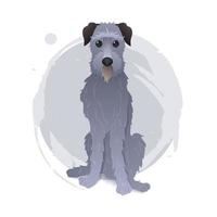 isoliert Vektor Kunst mit Karikatur irisch Wolfshund auf grau Kreis Hintergrund. Vektor Illustration mit Hund zum Karte, Poster, Banner, Abdeckung, drucken.