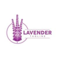 lavendel- logotyp, hand dragen bröllop växt design, lantbruk vektor, symbol illustration mall ikon vektor