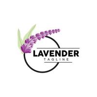 Lavendel Logo, Hand gezeichnet Hochzeit Pflanze Design, Landwirtschaft Vektor, Symbol Illustration Vorlage Symbol vektor