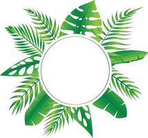 Vektor Blumen- Rahmen Wald Farn tropisch Blatt Folliage