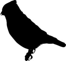 Vektor Silhouette von Vogel auf Weiß Hintergrund