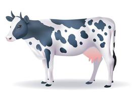 Schwarzweiss-Kuh mit lokalisiertem Hintergrund. Vektor eps 10